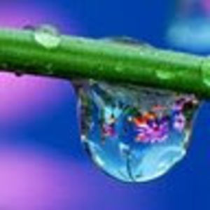 Meet your Posher, Michele